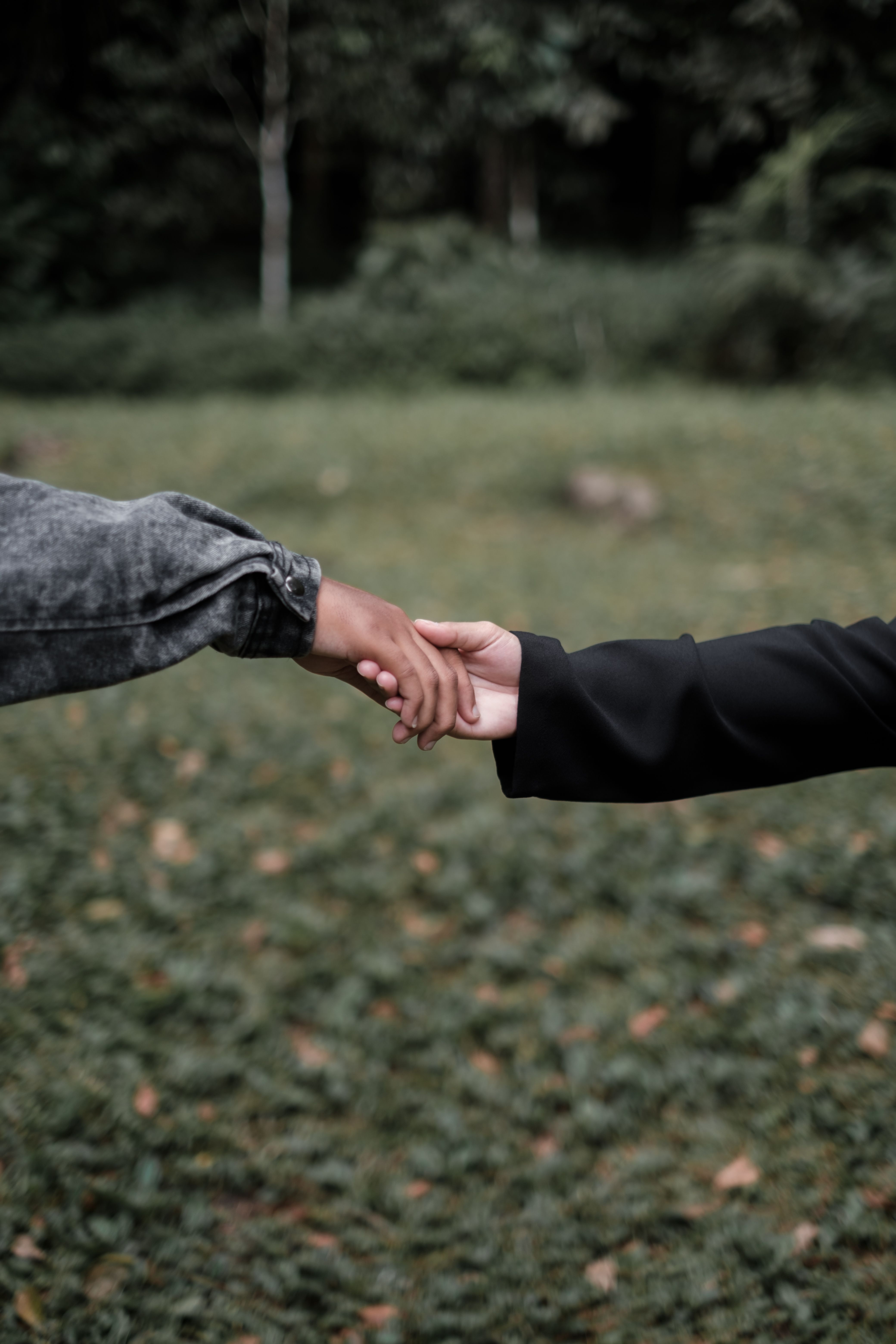 Mental Health & Family Law